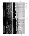 Fig. 09 - Method and apparatus for nitriding metal articles