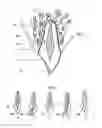 Fig. 02 - Dental and medical instruments comprising titanium