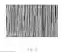 Fig. 06 - METHOD FOR FORMING HYDROPHILIC COMPOSITE
