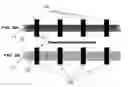 Fig. 04 - SYSTEMS AND METHODS FOR THERMAL MANAGEMENT OF ELECTRONIC COMPONENTS