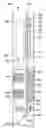 Fig. 01 - Configurable inserts for downhole plugs