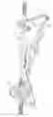 Fig. 01 - Rope climbing apparatus