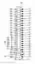 Fig. 01 - CODE STRIP FOR AN ELEVATOR INSTALLATION