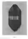 Fig. 05 - Energy absorption device