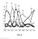 Fig. 05 - Characterizing items of currency