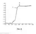 Fig. 06 - Characterizing items of currency