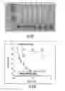 Fig. 29 - Molecular imprinted nanosensors