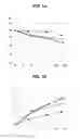 Fig. 02 - Process for production of reduced glutathione