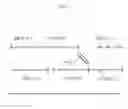 Fig. 08 - SORTING METHOD AND SORTING CONFIGURATION FOR SORTING TWO TYPES OF ARTICLES TO PRODUCE A SINGLE SUCCESSION