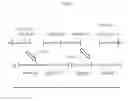 Fig. 09 - SORTING METHOD AND SORTING CONFIGURATION FOR SORTING TWO TYPES OF ARTICLES TO PRODUCE A SINGLE SUCCESSION