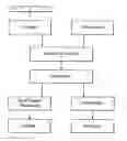 Fig. 01 - PROCESS FOR ENHANCED REMEDIATION OF CONTAMINATED WASTEWATERS, SOILS AND WASTEFORMS
