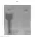 Fig. 02 - Method and apparatus for enhanced photocatalytic oxidative decolorization of wastewater containing reactive anthraquinone dye