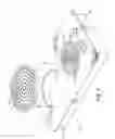Fig. 02 - Induction cook-top apparatus