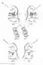 Fig. 05 - CLOTHES HANGERS