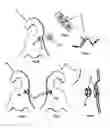 Fig. 06 - CLOTHES HANGERS