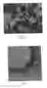 Fig. 02 - Method, system and apparatus for the deagglomeration and/or disaggregation of clustered materials
