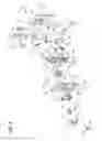 Fig. 09 - Seatbelt retractor