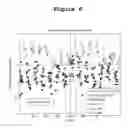 Fig. 07 - Prediction of phenotypes and traits based on the metabolome