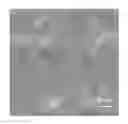 Fig. 01 - Hot-Pressed Transparent Ceramics and Ceramic Lasers