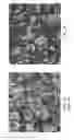Fig. 03 - Hot-Pressed Transparent Ceramics and Ceramic Lasers