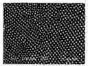 Fig. 01 - Thermoelectric material with low electrical resistivity and manufacture thereof
