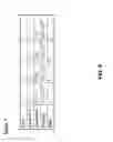 Fig. 06 - Group IV element doped P-type Zn(Mg,Cd,Be)O(S,Se) semiconductor
