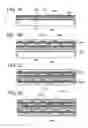 Fig. 04 - Semiconductor device and manufacturing method of the same