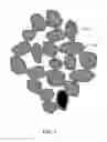 Fig. 02 - Making carbon articles from coated particles