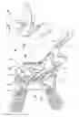 Fig. 01 - Reclinable seatback support for stroller