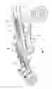 Fig. 08 - Reclinable seatback support for stroller