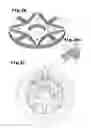 Fig. 17 - Embedded magnet motor and manufacturing method of the same