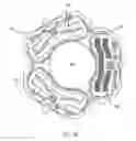 Fig. 06 - Electrical routing
