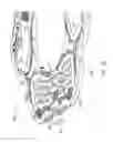 Fig. 14 - Electrical routing