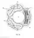 Fig. 06 - Linearly deployed actuators
