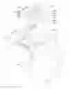Fig. 01 - Testing Auxiliary Apparatus