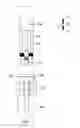 Fig. 02 - Multi-secured RFID electronic seal