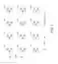 Fig. 03 - Pixel interleaving configurations for use in high definition electronic sign displays