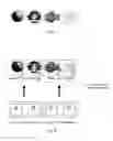 Fig. 09 - Method for encoded input and control by fingerprint