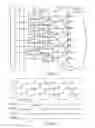 Fig. 10 - Liquid crystal display panel having different sub-pixels arrangement groups