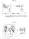 Fig. 19 - Information processing apparatus, stereoscopic display method, and program