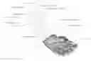 Fig. 01 - Image information output method