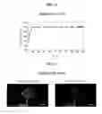 Fig. 03 - Liquid crystal display and global dimming control method thereof