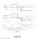 Fig. 10 - DRIVING METHOD OF HALF-SOURCE-DRIVING (HSD) DISPLAY DEVICE