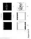 Fig. 03 - Driving method for electrophoretic displays with different color states