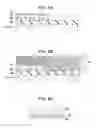 Fig. 07 - Piezoelectric element, liquid ejecting head, and liquid ejecting apparatus