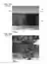 Fig. 12 - Piezoelectric element, liquid ejecting head, and liquid ejecting apparatus
