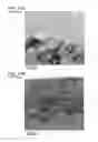 Fig. 13 - Piezoelectric element, liquid ejecting head, and liquid ejecting apparatus