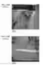 Fig. 24 - Piezoelectric element, liquid ejecting head, and liquid ejecting apparatus