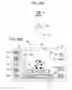 Fig. 29 - Imaging apparatus, imaging display control method, and program