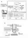 Fig. 01 - Body Fluid Analyzing System and an Imaging Processing Device and Method for Analyzing Body Fluids